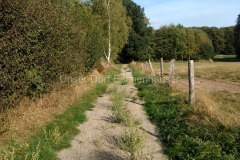 IMG_20180920_162834958