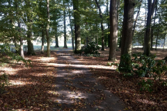 IMG_20181006_141604385_HDR