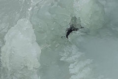 154230632_783573609225178_6484938774808167490_n