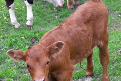 CYMERA_20200426_131947