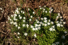 IMG_20200328_161004375_HDR