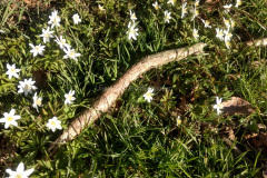 IMG_20200328_161028727_HDR