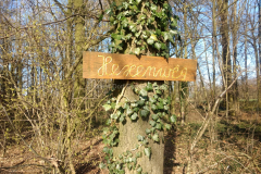 IMG_20200328_161037953